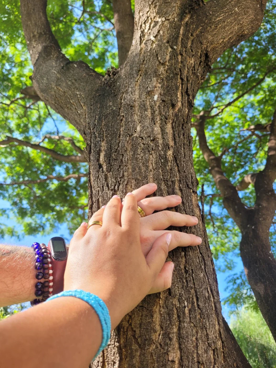 Mãos dos cofundadores da Florescer Idiomas apoiadas no tronco de uma árvore